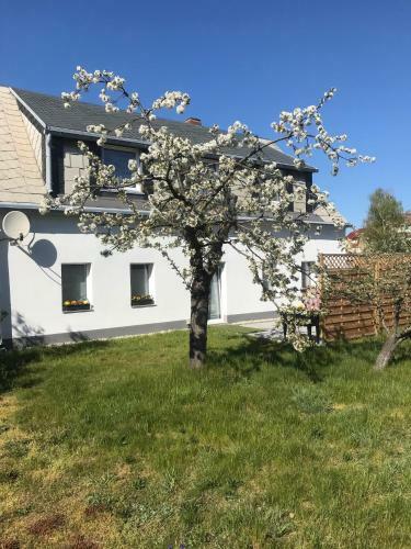 K�nig Ferienhaus