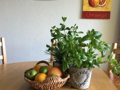 Apartamento Ferienwohnung Auszeit