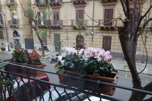 A Casa Di Amelie