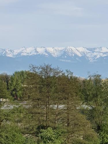 Apartamento Ferienwohnung Weitblick