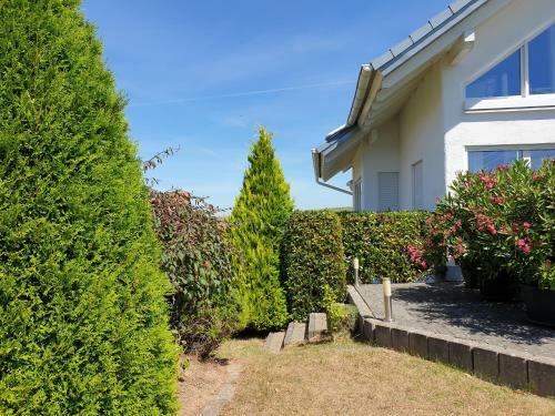 Apartamento Haus K�lsch