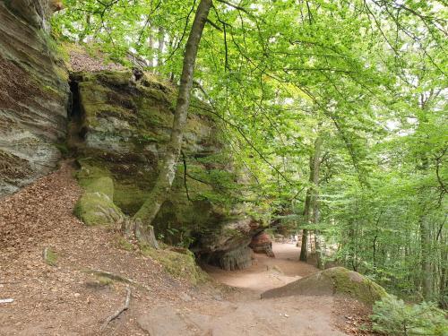 Apartamento Haus K�lsch