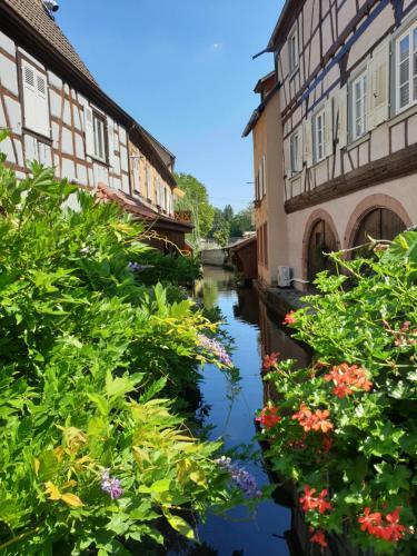 Apartamento Haus K�lsch