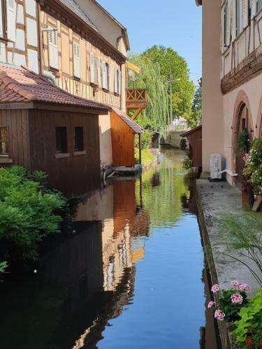 Apartamento Haus K�lsch