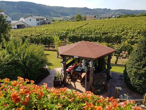 Ferienweingut R�mer-knodt