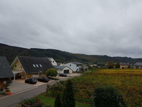 Ferienweingut R�mer-knodt