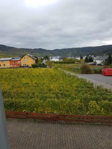 Ferienweingut R�mer-knodt