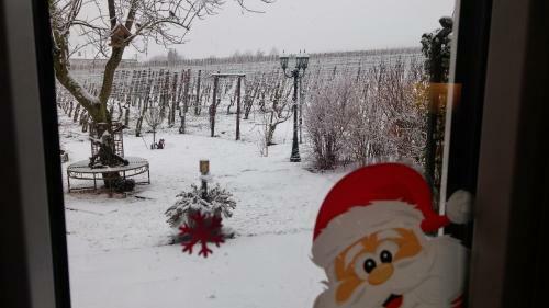 Ferienweingut R�mer-knodt