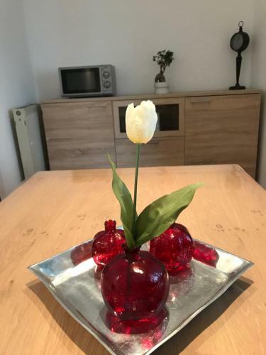 Apartamento Fewo Cologne, Airport, City