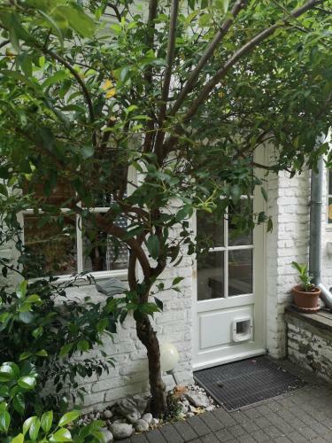Apartamentos May-apartment K�ln Zentrale Ferienwohnung
