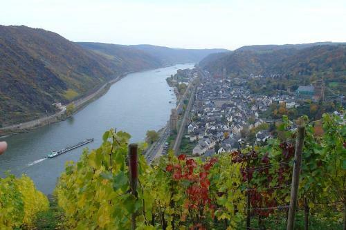 Apartamento Fewo Bergwiese Im Hunsr�ck