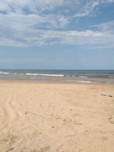 Apartamento Oliva Nova Beach And Met