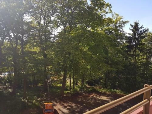 Apartamento Top-apartment Im Naturschutzgebiet