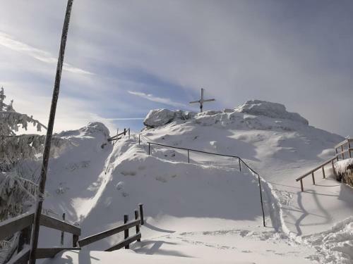 Apartamento Ferienwohnung Waldesruh