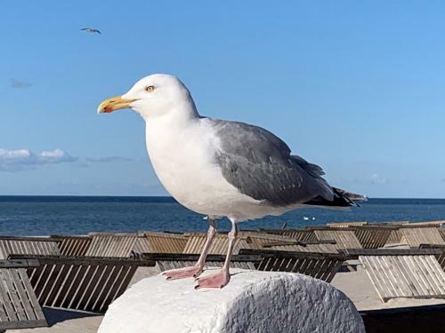 Apartamento Fewo Lust Auf Laboe