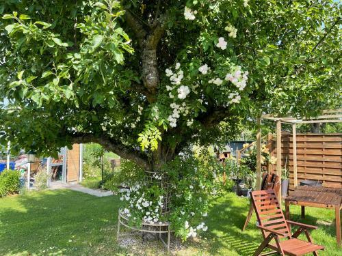 Apartamento Pension Hugo