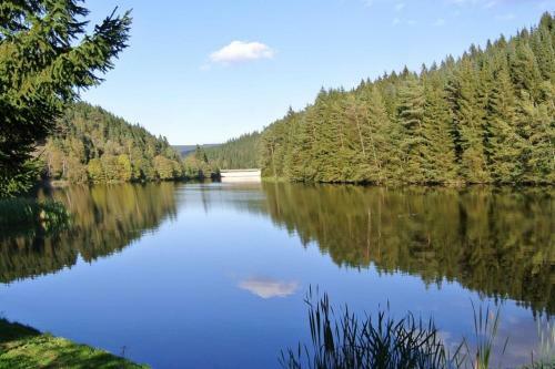 Apartamento Ferienwohnung Erdgeschoss Wohnwerk Lautenthal Harz