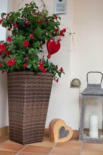 Apartamento Haus Steinbock