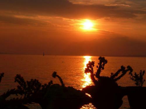 Apartamento Ferienwohnung Ernst-strobl