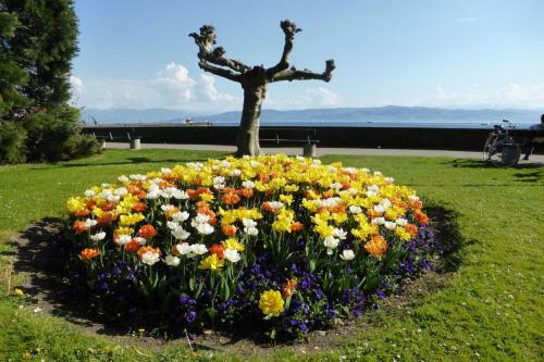 Apartamento Ferienwohnung Ernst-strobl