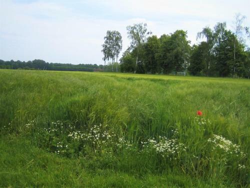 Gutshof Tda-lohma