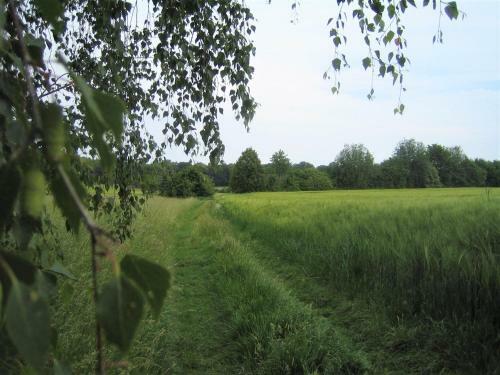 Gutshof Tda-lohma
