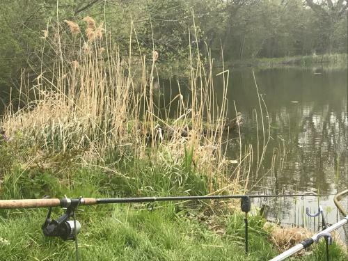 Apartamento Ferienwohnung Hoppelnase Mit Eigener Sauna