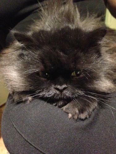 Apartamento Ferienwohnung Hoppelnase Mit Eigener Sauna