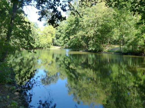 Apartamento Ferienwohnung Mit Brockenblick