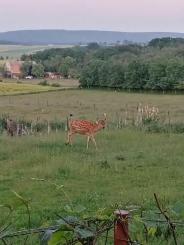 Apartamentos Ferienwohnung Familie Ernst