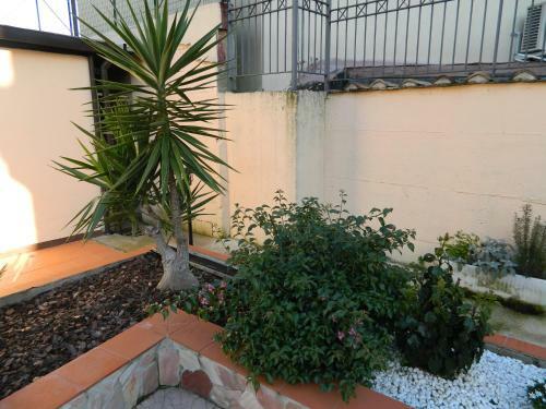 B&B San Pio