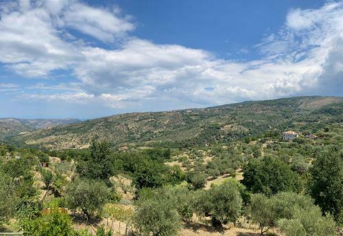 Bed & Breakfast B & B Il Campanile