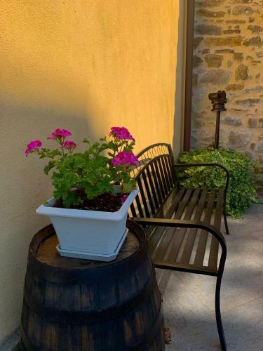 Il Piccolo Giardino