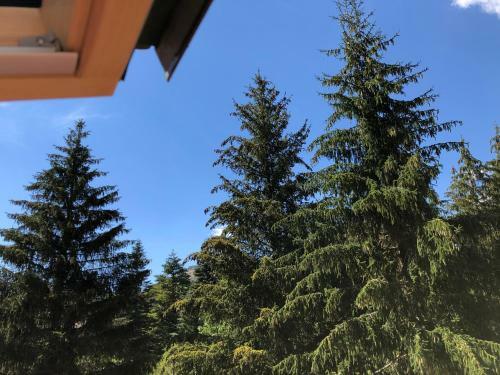 Apartamento Chalet Dell'orso