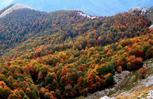Apartamento Chalet Dell'orso