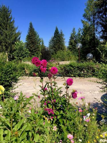 Apartamento Chalet Dell'orso