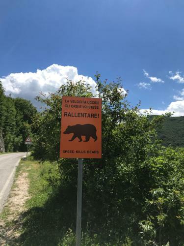 Apartamento Chalet Dell'orso