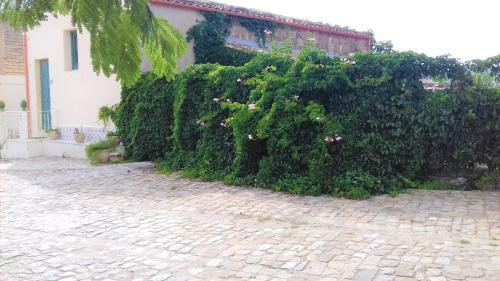 Il Casale Di Carolina Di Petralia