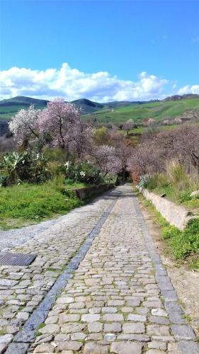 Il Casale Di Carolina Di Petralia