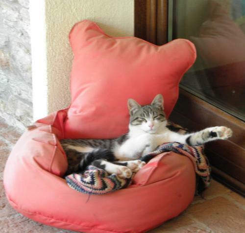 Bed & Breakfast Alpuntogiusto