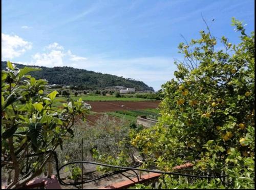 Apartamento Casa Dei Limoni