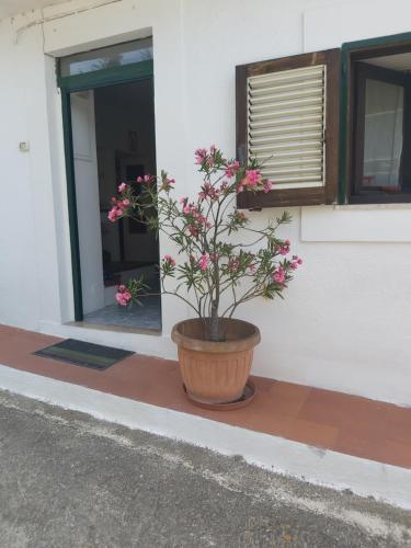 Appartamento In Villa ..