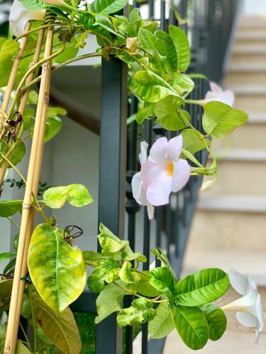 B&B Di Fiore