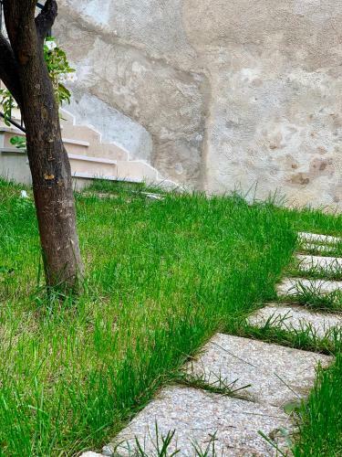 B&B Di Fiore