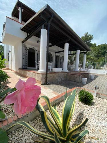 Villa Bianca