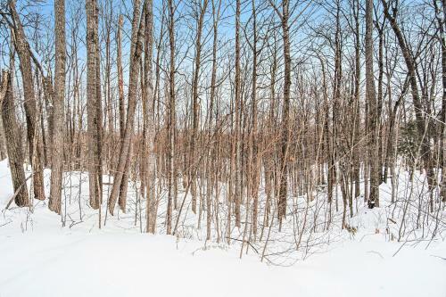 Hideaway Valley Condo 36