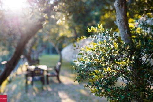 Apartamento Il Nibbio