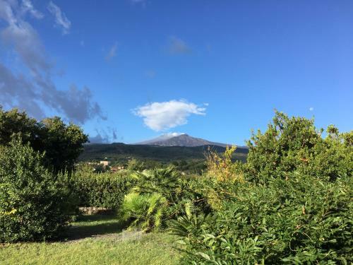 Bed And Breakfast Il Glicine