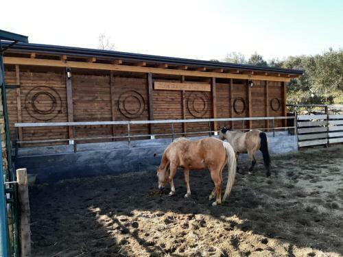 Villa B&B Etna Ranch