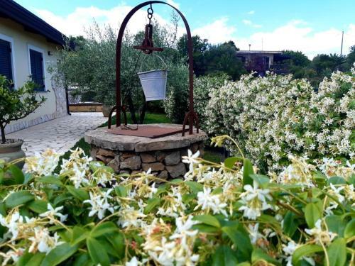 Villa B&B Etna Ranch